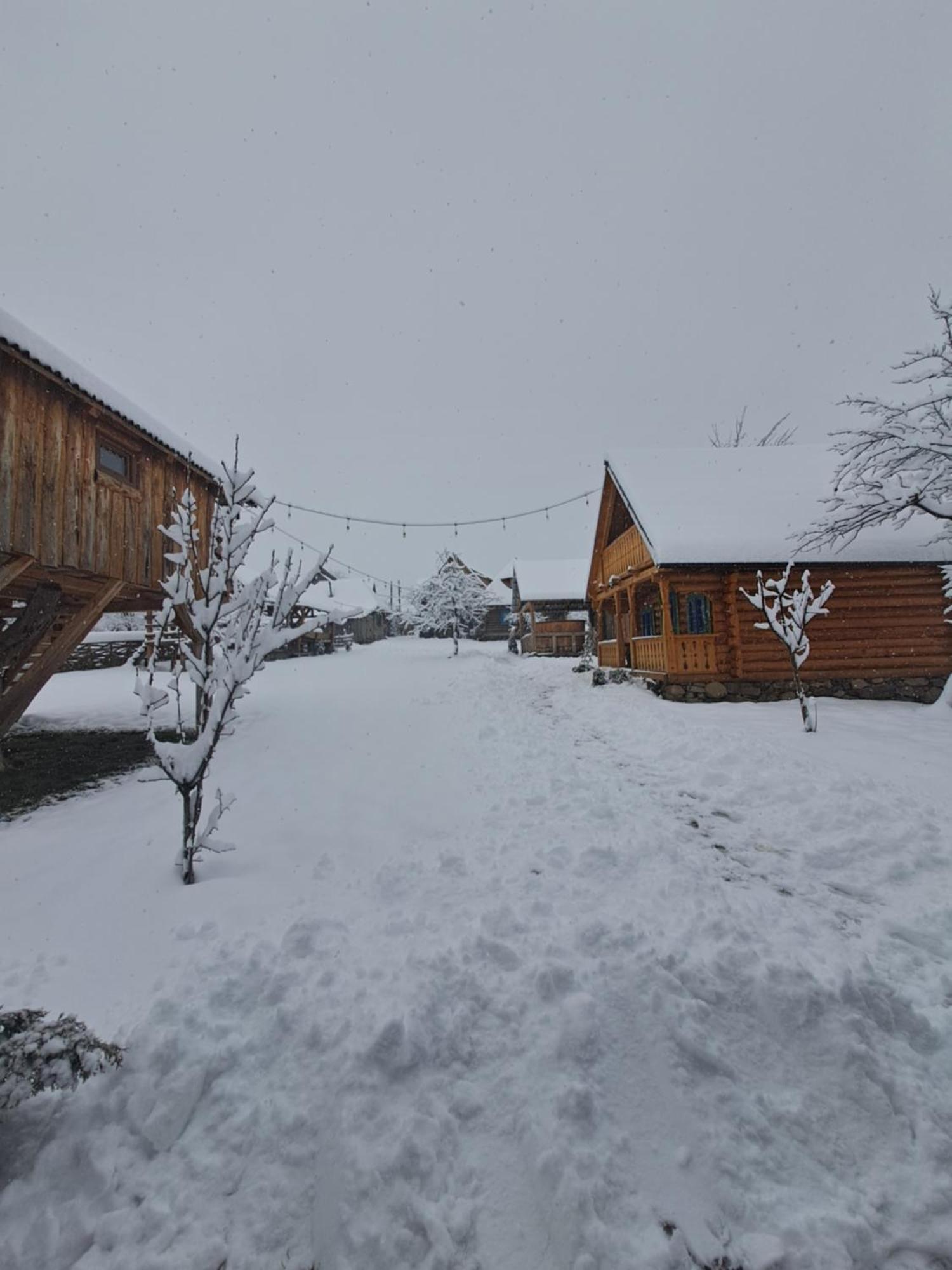 Complex Traditional Casuta Bunicilor-Breb 部屋 写真